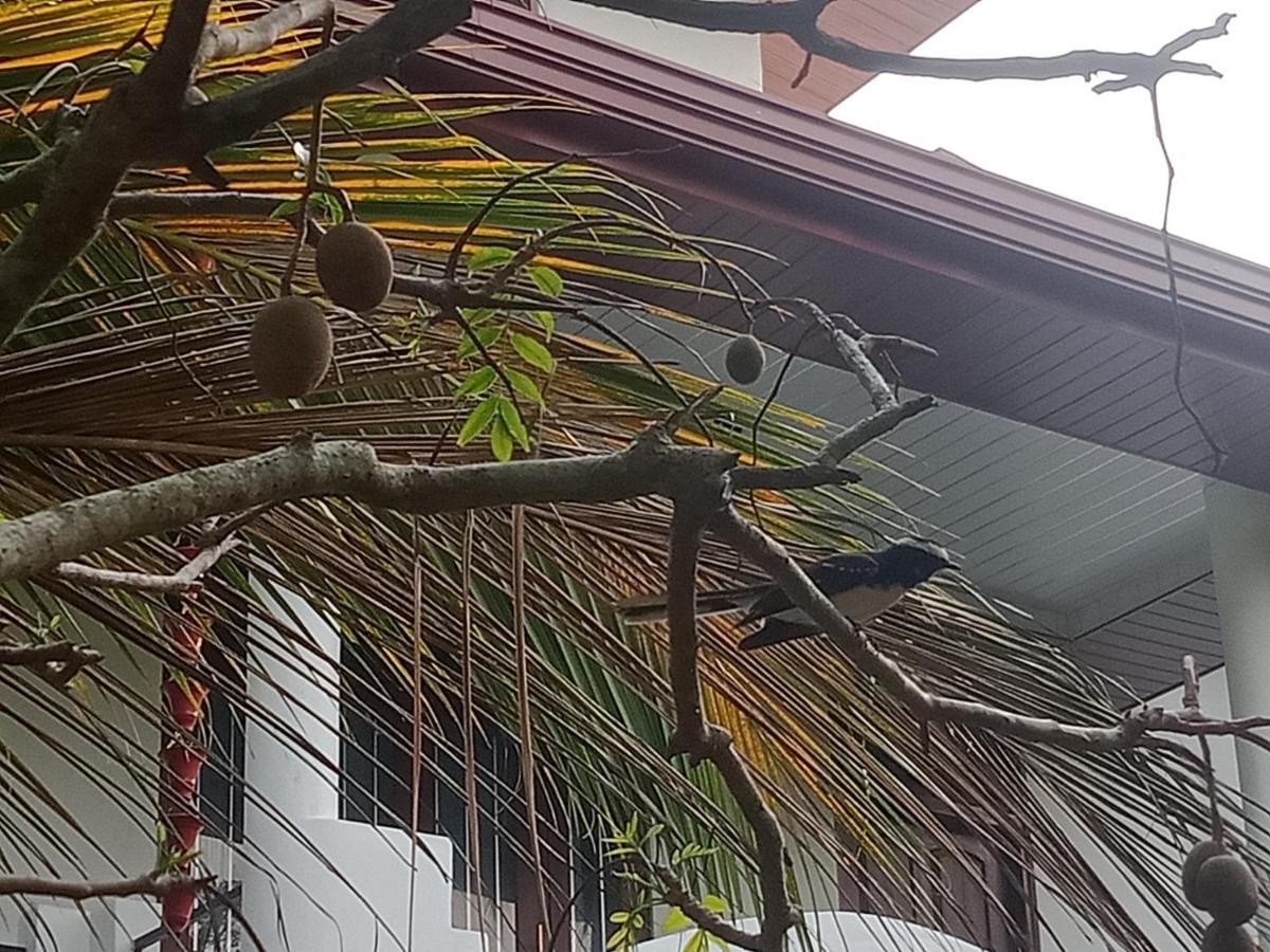 Silence Paradise Tangalle Ngoại thất bức ảnh