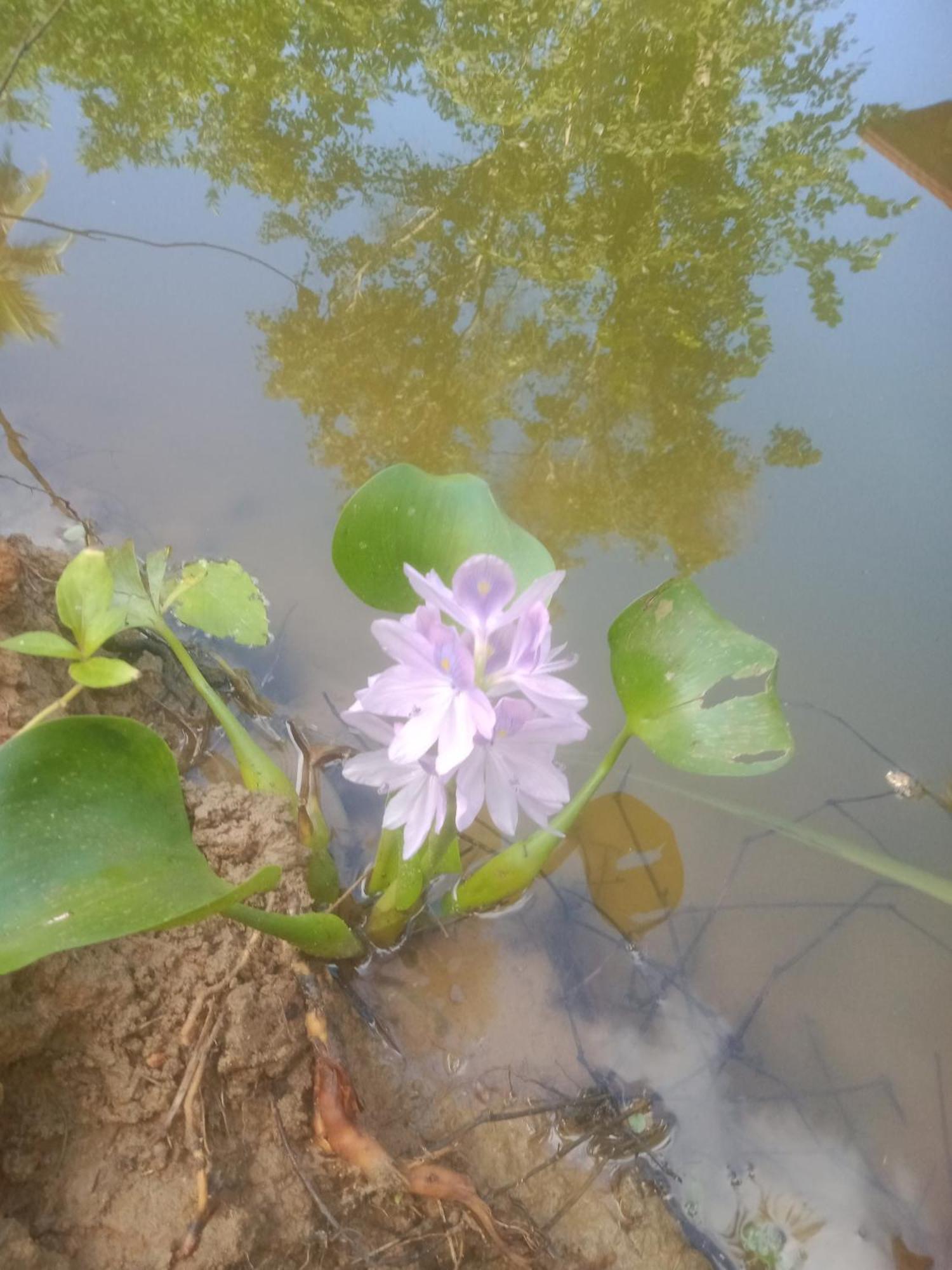 Silence Paradise Tangalle Ngoại thất bức ảnh